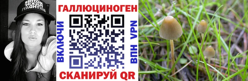 Псилоцибиновые грибы прущие грибы  Купить  Прокопьевск 